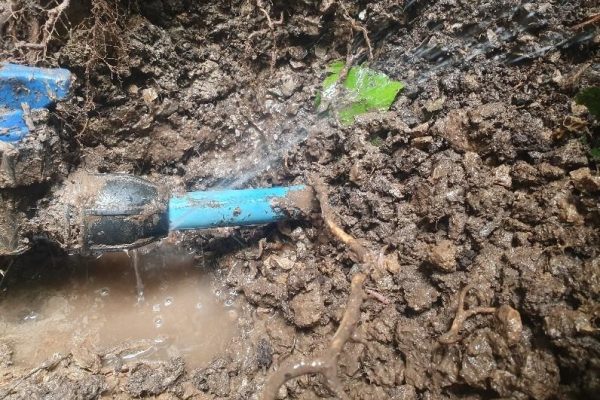 Water Mains Leak Detection Southgate